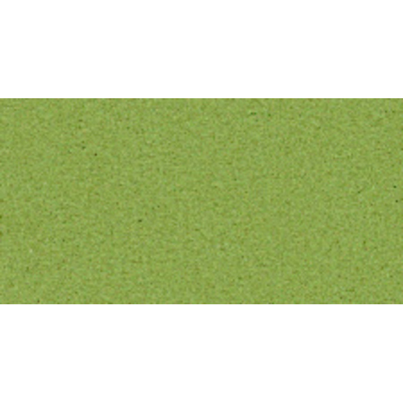 CARTULINA CANSON MI-TEINTES A-4 160G 480 VERDE ALMENDRA PTE 50H