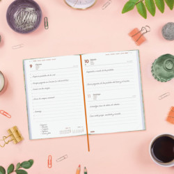 AGENDA BERLIN Y10 1DP 2026 TRIGO+ FINOCAM26 624022226 145 X 28 X 210 MM