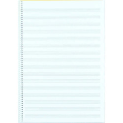 BLOC MUSICA LIDERPAPEL FOLIO 12 PENTAGRAMAS 3MM BM01 UNIDAD