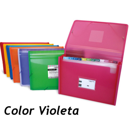 CARPETA FUELLE 12B GRAFOPLAS MULTILINE GOMAS PLAST. TRANSP. VIOLETA 02963035