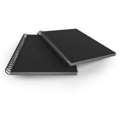 CARPETA ESCAPARATE A-4 PRYSE 20 FUNDAS ESPIRAL KANGURO COLOR NEGRO 4240020 UNIDAD