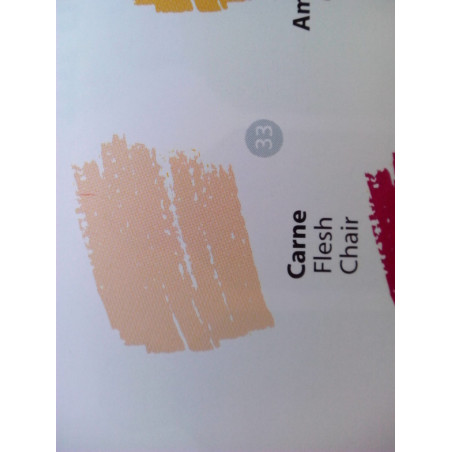 CERAS MANLEY ALPINO GRANEL 33 CARNE C/12