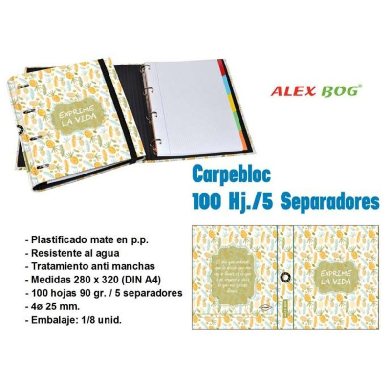 CARPEBLOC DEC RINGBOOK 4A A4 C/RECAMBIO ALEX BOG PIÑAS KR-754