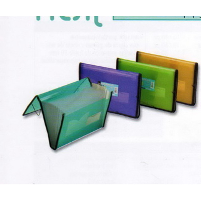 CARPETA FUELLE 12B FOLDER GOMAS PLAST. TRANSP. 134 VERDE LIMA
