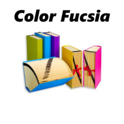 CLASIFICADOR FUELLE A-Z 1/31 FL CARTON FASHION FUCSIA CARCHIVO 19330060