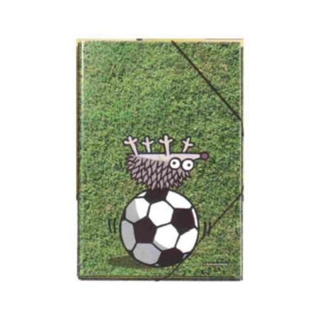 CARPETA DEC FL GOMAS MR 11 KUKUXUMUSU PINCHICHI 20445 ^