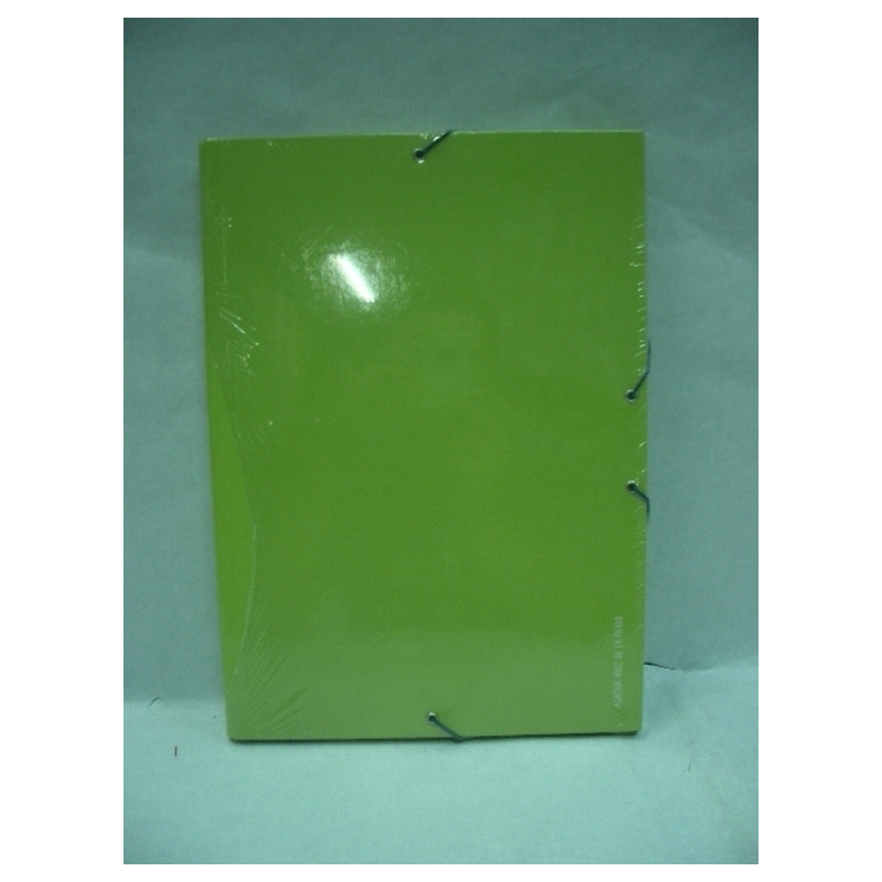 CARPETA DEC FL GOMAS AGATHA 06 BASICA VERDE 20159 ^