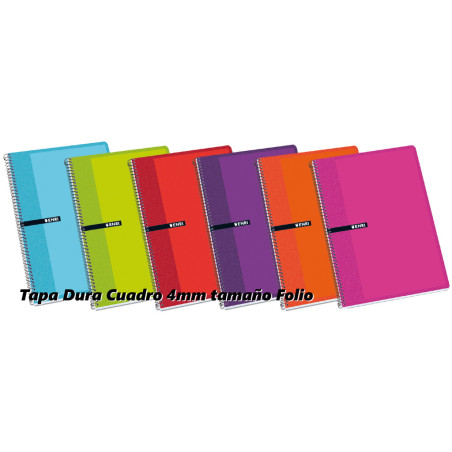 CUADERNO TD FL 80H ENRI CUADROS 4*4 SURTIDO 100430066