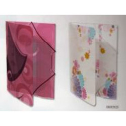 CARPETA DEC FL GOMAS ENRI 07 ANGOON PP 08085820 ^