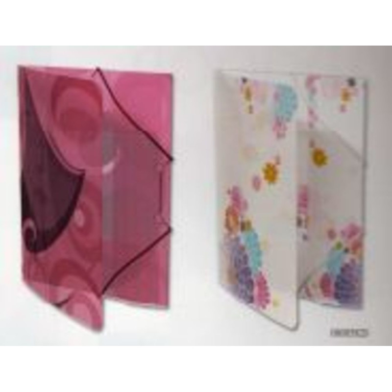 CARPETA DEC FL GOMAS ENRI 07 ANGOON PP 08085820 ^