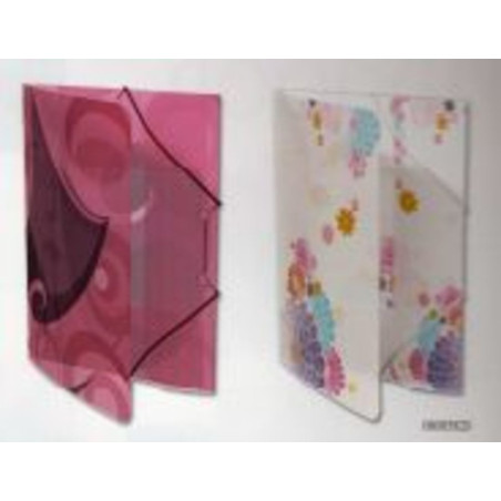 CARPETA DEC FL GOMAS ENRI 07 ANGOON PP 08085820 ^