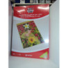 FUNDA PLASTIFICAR 297*420 A-3 125M C/100U GRAFOPLAS 01 02 10 00