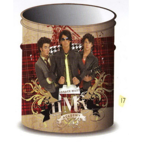 PAPELERA METAL ENRI 10 JONAS BROTHERS 22547965 ^
