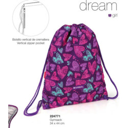 BOLSA ZAPATOS GABOL19 SCHOOL GIRL DREAM 224771