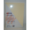 PAPEL MCH VERJURADO GALGO A-4  100G CREMA PTE 100H 3145