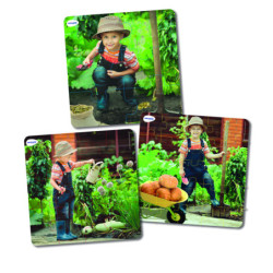 PUZLE PROGRESIVOS: VIDA DE LA PLANTA SET DE 3UDS MINILAND 36204