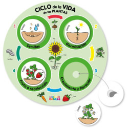 CICLO DE LA VIDA DE LAS PLANTAS 30 X 30 CM LÁMINA + 24 FICHAS. HENBEA