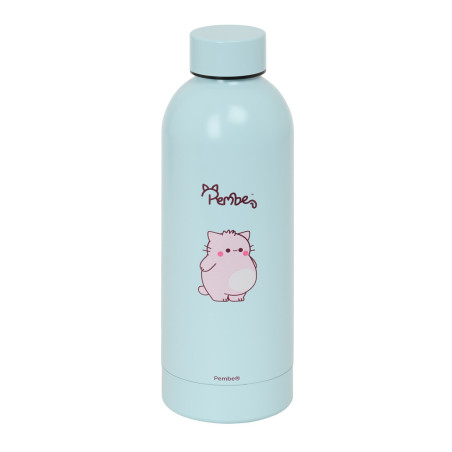 BOTELLA TERMO ACERO INOXIDABLE 500ML PEMBE "THE PINK CAT" SAFTA26 312646899 22,5X7 UNIDAD