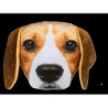 COJIN ANIMALES PERRITOS CARA BEAGLE 40CM UNIDAD 32/2056 OOTB