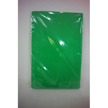 LAMINA EVA 2MM 20*30 COLOR VERDE MEDIO Nº14 PTE 10U REF 384