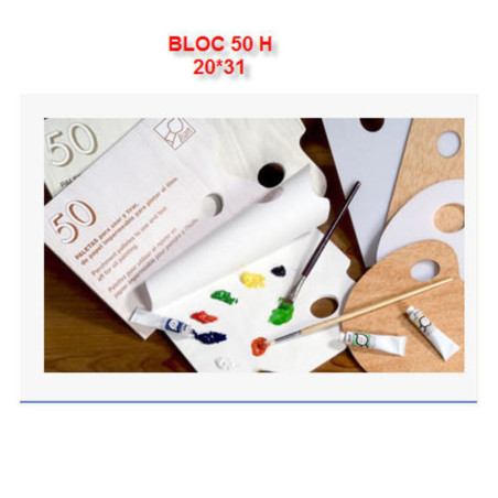 PALETA PAPEL LEAM BLOC 50 HOJAS 20*31 296 ^