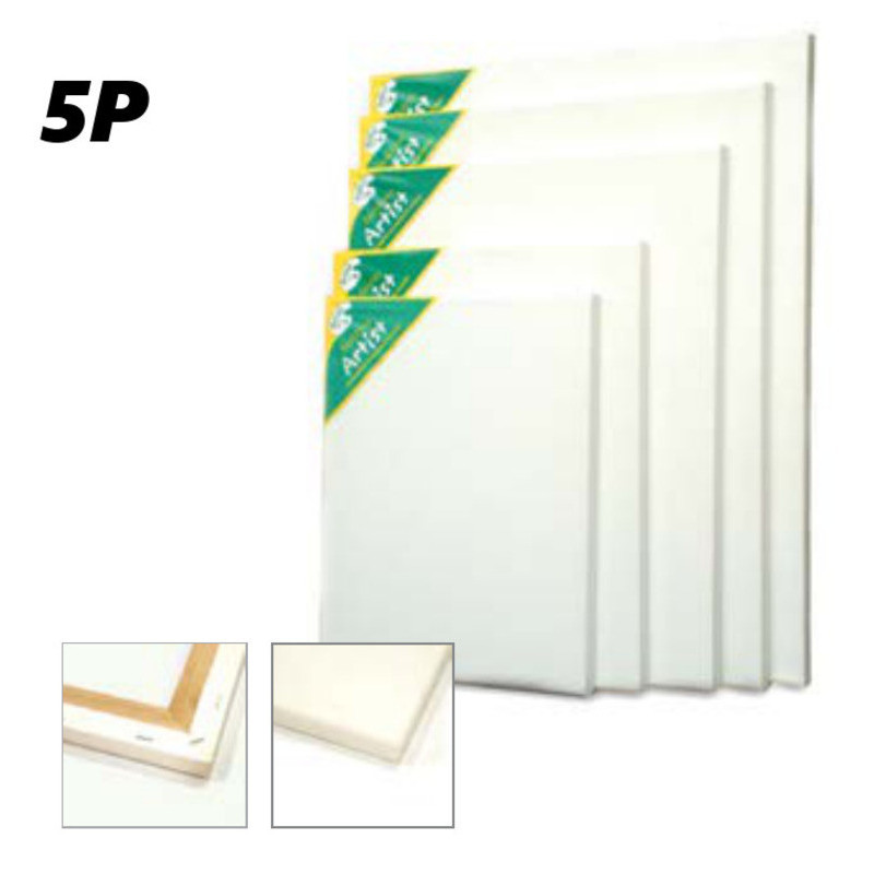 BASTIDOR C/LIENZO 5P 35*24 PAE ECO ALGODON 02030907022