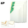 BASTIDOR C/LIENZO 6P 41*27 PAE ECO 300G ALGODON PRIME COTTON 02030907025