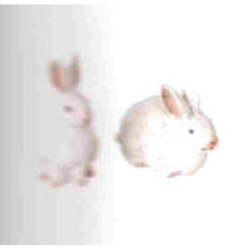 CONEJO MARMOLINA 5CM OLIVER 28056 ^