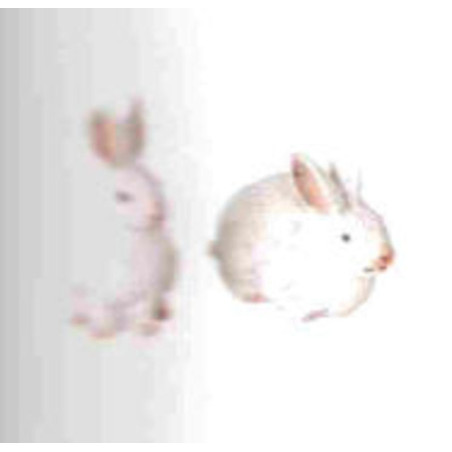 CONEJO MARMOLINA 5CM OLIVER 28056 ^