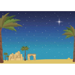 FONDO ESTRELLAS ARGU BELEN PALMERAS UNIDAD ROLLO 45254