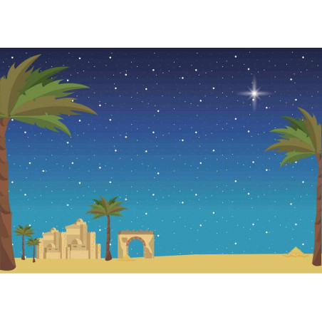 FONDO ESTRELLAS ARGU BELEN PALMERAS UNIDAD ROLLO 45254