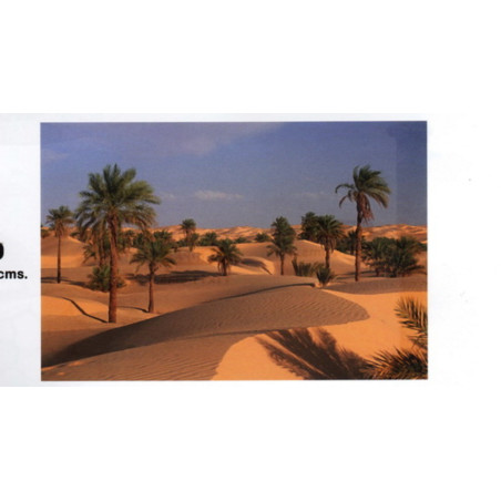 FONDO PAISAJE MORUNO DUNAS 60*100 ROLLO 1H 70262 ^