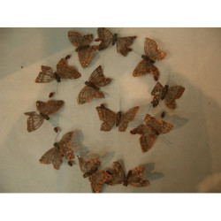 GUIRNALDA MARIPOSAS COBRE 1.50M   59181115 ^