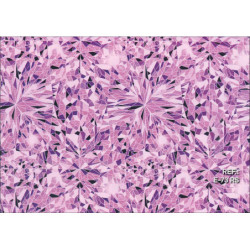 PAPEL REGALO ROLLO 62 SETIMPRES ESTUCADO PSICODELIA FONDO FUCSIA E73RS