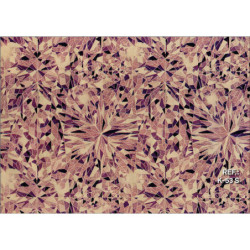 PAPEL REGALO ROLLO 62 SETIMPRES KRAFT PSICODELIA FUSCIA K53RS