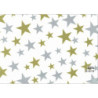 PAPEL REGALO ROLLO 31 SETIMPRES PACK 2U ESTUCADO ESTRELLAS ORO PLATA FONDO BLANCO E61B