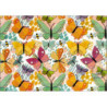 PAPEL REGALO ROLLO 31 SETIMPRES ESTUCADO MARIPOSAS FONDO BLANCO E71R PACK 2U