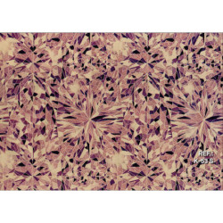 PAPEL REGALO ROLLO 31 SETIMPRES KRAFT PSICODELIA FUSCIA K53RS PACK 2U