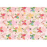 PAPEL REGALO 50*70 ARGU TURNOWSKY MARIPOSAS ROSA PTE 10H 39100 MOD 17