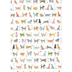 PAPEL REGALO 50*70 ARGU TURNOWSKY GATITOS PTE 10H 39101 MOD 18 ^