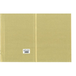 PAPEL REGALO 70*100 MANO 25H 54-0101