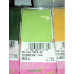 CINTA REGALO NATURE 50MM 50M VERDE CLARO 5680 ^