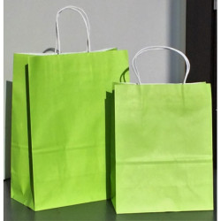 BOLSA REGALO PAPEL ARGU VERDE PEQUEÑA 73629-41711 PAQ 12 UNI