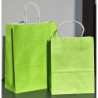 BOLSA REGALO PAPEL ARGU VERDE PEQUEÑA 73629-41711 PAQ 12 UNI