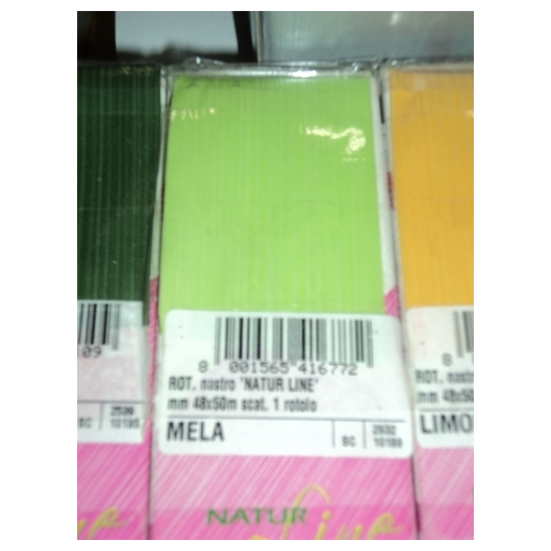 ZAPATILLERO MEDIANO F.C.BARCELONA SAFTA25 ENERO 812429682