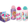 CANTIMPLORA ALEX BOG PAW PATROL ALUMINIO BOTELLA 0,5L EKP-619 ^
