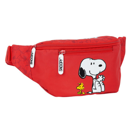 RIÑONERA SNOOPY SAFTA21 ENERO 812139446 12*23