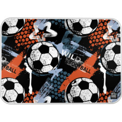 VADE PVC B&B WILD FOOTBALL GRAFOPLAS26 PACK 2U. 09252731