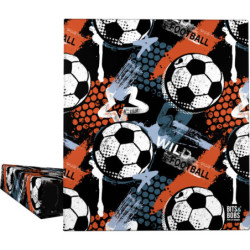 CARP.ANILLAS A4 FOR.4D40 B&B WILD FOOTBALL GRAFOPLAS26 PACK 2U. 88172731