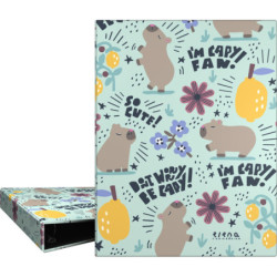 CARP.ANILLAS A5 FOR.4O20 EC CHEERFUL GRAFOPLAS26 PACK 4U. 88202547